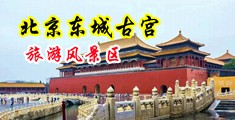 欧美肏逼视频中国北京-东城古宫旅游风景区